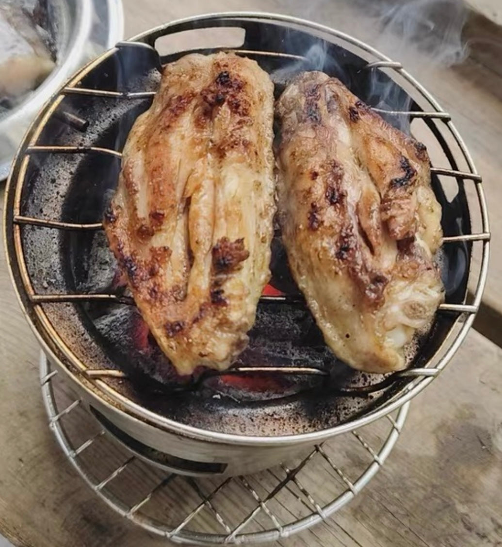 outdoor wood burning stoves
